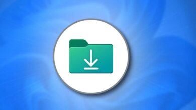 چگونه فایل های در حال دانلود را ببینیم؟ - چیکاو