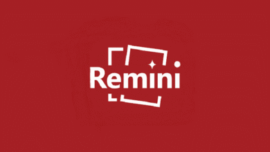چگونه برنامه remini را نصب کنیم و وارد برنامه شویم؟ - چیکاو