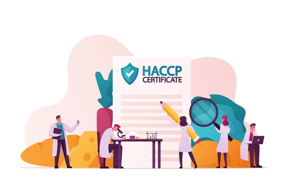 تفاوت ایزو 22000 با گواهینامه HACCP چیست؟