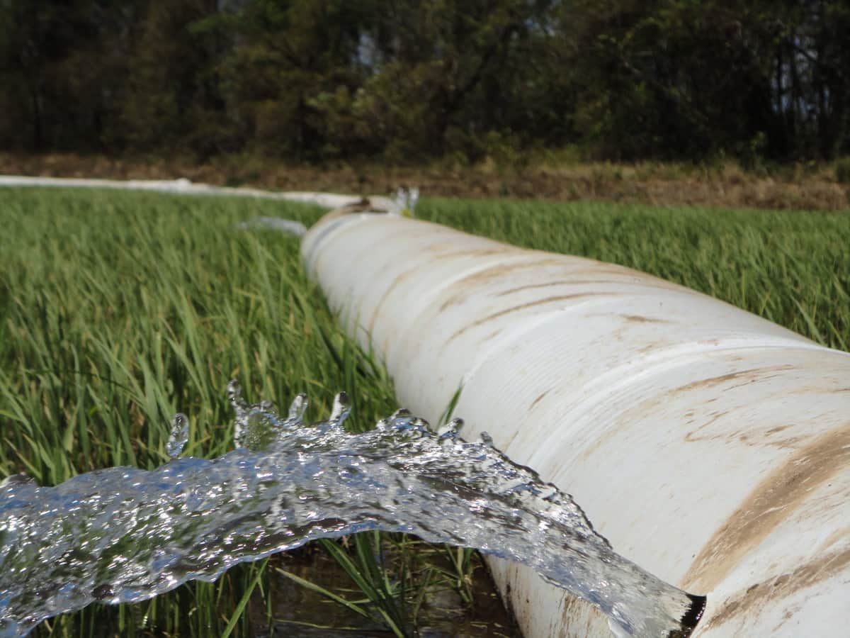 لوله پلی‌اتیلن آبیاری نوآوری مدرن در عرصه آبیاری کشاورزی