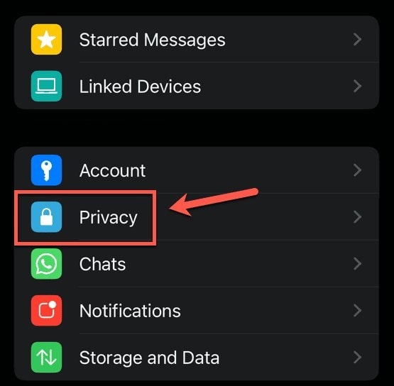 تنظیمات حریم خصوصی whatsapp - چیکاو