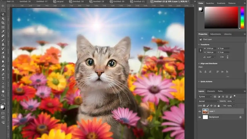 Adobe ویژگی های جدیدی را برای Illustrator و Photoshop رونمایی می کند - چیکاو