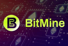 خرید 113 میلیون دلاری اتریوم توسط بیت‌ماین؛ بازگشت نهنگ‌ها به بازار رمزارزها! - چیکاو