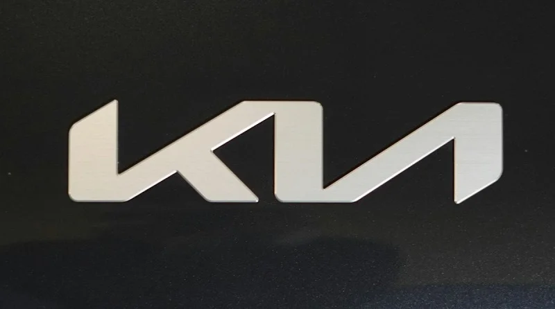 کیا قصد دارد تولید خودروهای برقی خود در اروپا را سه‌برابر کند - چیکاو