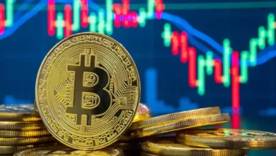 بیت کوین در انتظار فدرال رزرو و انویدیا؛ تثبیت 93 هزار دلار در بحبوحه ترس شدید! - چیکاو