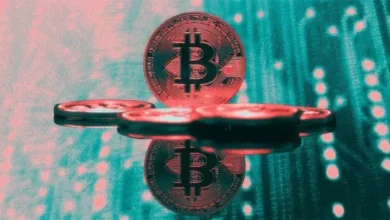 بیت‌کوین وارد سبد دارایی دیجیتال بانک ملی چک شد - چیکاو