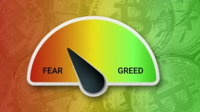 سقوط بیتکوین شاخص احساسات بازار را به محدوده «ترس شدید» کشاند - چیکاو