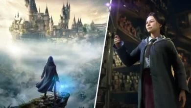 سایه نتفلیکس بر «Hogwarts Legacy 2»: تهدیدی برای یکپارچگی دنیای جادوگری! - چیکاو