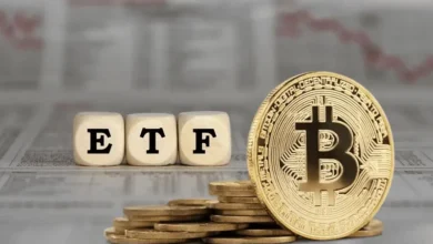 ETFهای بیت‌کوین پس از 7 روز خروج سرمایه، 355 میلیون دلار جذب کردند - چیکاو