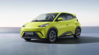 آمار فروش نوامبر چین: BYD با 306 هزار دستگاه پیشتاز، تسلا به رتبه پنجم بازگشت - چیکاو