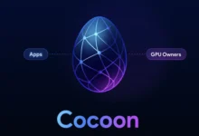 چگونه از شبکه Cocoon تلگرام درآمد کسب کنیم؟ راهنمای کامل فعال‌سازی و درآمدزایی - چیکاو