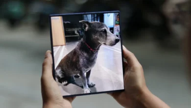 سلطه سامسونگ بر بازار گوشیهای تاشو در سهماهه سوم سال - چیکاو