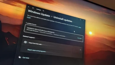 به‌روزرسانی دسامبر ویندوز 11 عملکرد برخی سیستم‌ها را کاهش داد - چیکاو