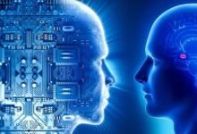 ایلان ماسک: تا 2031 هوش مصنوعی از بشر باهوش‌تر می‌شود - چیکاو