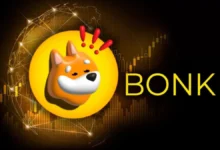 جهش 60 درصدی قیمت میمکوین BONK؛ آغاز موج جدید صعود در بازار توکنهای سرگرمی - چیکاو