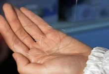 انقلاب در فناوری پوشیدنی: ساخت "تراشه فیبری" با قابلیت پردازش رایانه رومیزی در نخ لباس - چیکاو