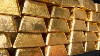 هشدار میلیاردر سرشناس: در نظم نوین جهانی، فقط طلا امن است - چیکاو