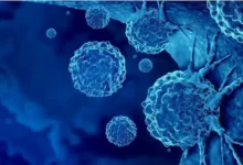اثر «بریکینگ بد» پس از تشخیص سرطان واقعی است؛ احتمال ارتکاب جرم افزایش مییابد - چیکاو