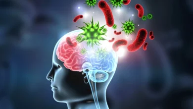 کشف ارتباط یک باکتری چشمی با افزایش خطر آلزایمر و زوال عقل - چیکاو