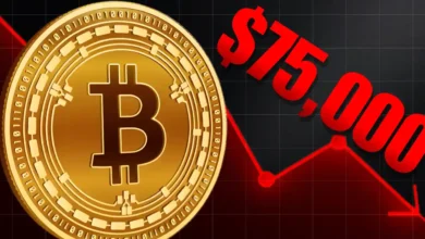 تزلزل بیتکوین زیر سایه فروشندگان؛ حمایت 74 هزار دلار تاب میآورد؟ - چیکاو