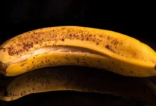 4 نشانه علمی که میگوید باید غذای مانده را دور بریزید - چیکاو