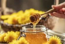 عسل میتواند به بهبود عملکرد ورزشی و ریکاوری کمک کند - چیکاو