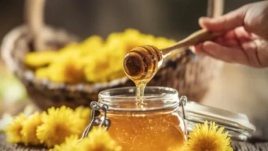 عسل میتواند به بهبود عملکرد ورزشی و ریکاوری کمک کند - چیکاو