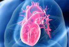 مطالعه جدید: رژیم کمچرب لزوماً برای قلب بهتر نیست - چیکاو