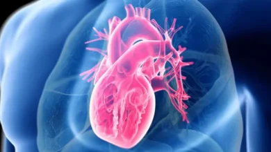 مطالعه جدید: رژیم کمچرب لزوماً برای قلب بهتر نیست - چیکاو