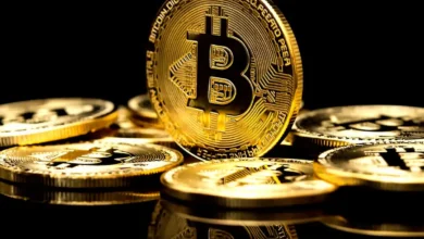 قیمت ارزهای دیجیتال امروز دوشنبه 29 تیر 1405+ پرسودترین و زیاندهترین رمزارزها - چیکاو