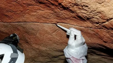 دانشمندان برای نخستین بار DNA انسانهای باستان را روی دیواره غارها پیدا کردند - چیکاو