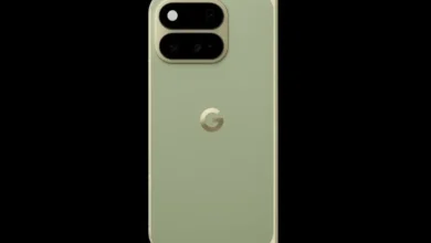رنگ جدید Pixel 11 Pro Fold فاش شد؛ گوگل روی نسخه Pine شرط بسته است - چیکاو