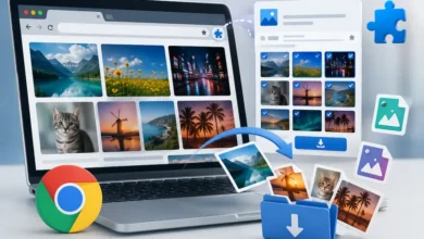 معرفی بهترین افزونههای کروم برای دانلود تصاویر - چیکاو