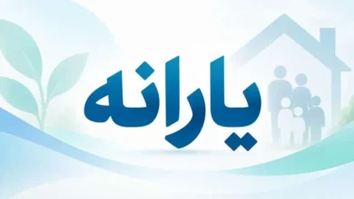 یارانه نقدی مهر 1405 برای دهک‌های اول تا سوم واریز شد - چیکاو
