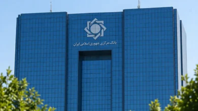 بانک مرکزی برداشت ریالی از پنج صرافی رمزارزی را محدود کرد - چیکاو